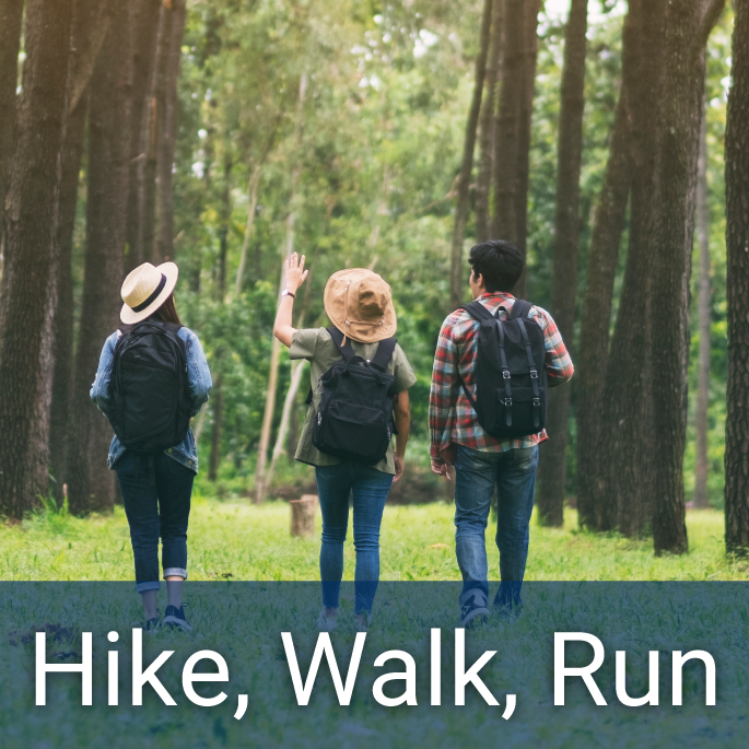 Two females and one male travellers walking through a tall, pine forest on a sunny day, header reads "Hike, Walk, Run"