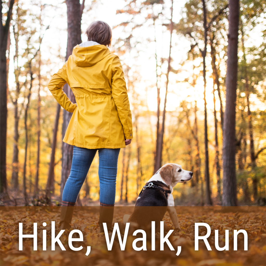 woman in a yellow coat, hiking with her beagle in fall woods